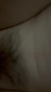 粤A的激情一刻