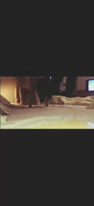 后入骚逼 内射